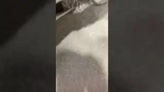 обзор ящиков для хранения вещей