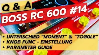 Boss RC 600 - Parameter Guide ; Moment & Toggle ; Funktionsknöpfe