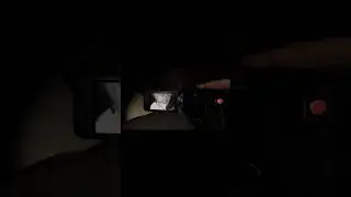 ЧТО ЭТО ЗА ЧЕРТ??!! - Phasmophobia
