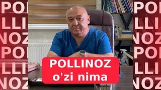 Pollinoz o'zi nima?