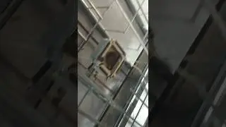 fall ceiling ingle installation 🔥🔥 luxury house interior ceiling #trending #home #homedesign #shorts