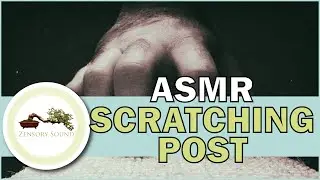 Scratching ASMR on a cat scratching post