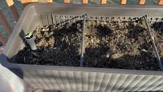 Plans for Keter Easy Grow Spring 2024