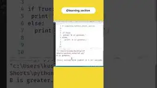If else statement using always True - Python Learning Section