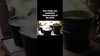 How cheese was invented in different parts of the world #shorts #youtubeshorts #food