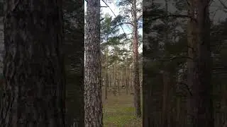 Открываем Сезон/Зеренда