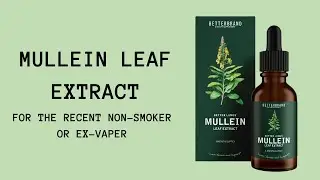 Mullein Leaf Extract for the Recent Non-Smoker or Ex-Vaper