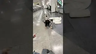 бомжи в Корее??  в тг бэкстейджи: кухонный нож