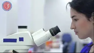 Естественные науки