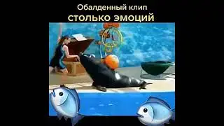 Удивительная красота и грациозность.