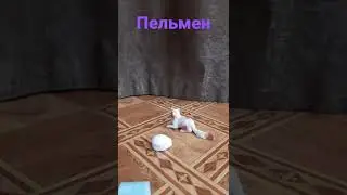пурумчик любит пелимени