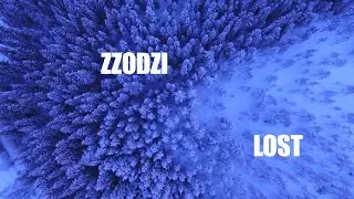 Zzodzi - Lost