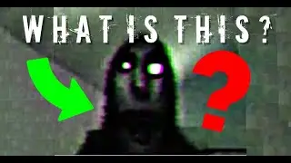 What is No Players Online?