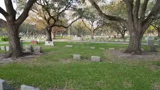 Bay city texas