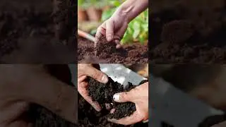 ADOB®️ Ca EDTA – 14 % – это специальное удобрение.