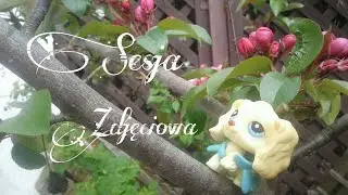 Sesja zdjęciowa z lps
