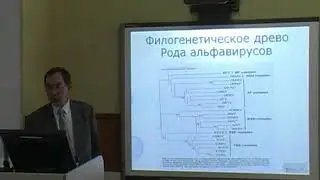 Лекция 13 «Семейство Тогавирусов Togaviridae»