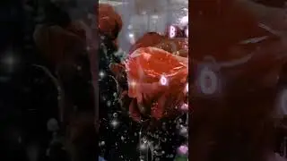 С 8 МАРТА ЛЮБИМАЯ!