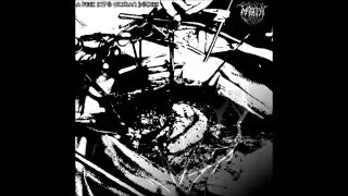 Abdominal Section - Magefa [DEMO]