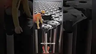 Ai é evolução #shortvideo #patospb #video