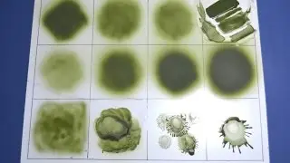 Airbrush tutorial, tips for better airbrushing - Short Guide Plastic Models