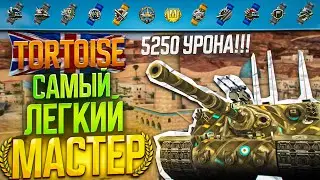Самый Легкий Мастер на Tortoise!!!! за 2 минуты