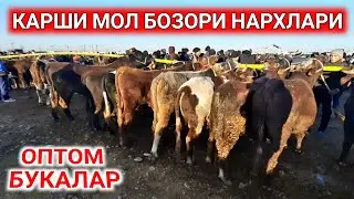 КАШКАДАРЁДА КАРШИ МОЛ БОЗОРИ НАРХЛАРИ QARSHI MOL BOZORI NARXLARI