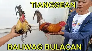 BALIWAG BULACAN PET TIANGGEAN#BAKWITTV