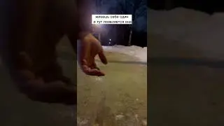не ну тут жиза  #рекомендации #рек #2023 #шизофрения #угар #жиза
