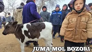 15-02-2025 SAMARQAND PASTDARGOM JUMA MOL BOZORI