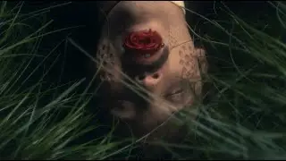Jerry Cantrell - Brighten (Official Video)