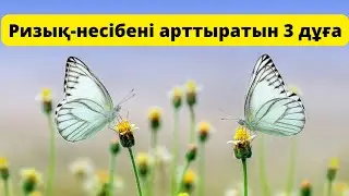 Ризық-несібем артсын десеңіз, осы 3 дұғаны оқыңыз...
