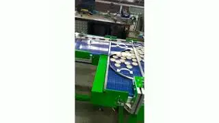 Конвейер на модульной ленте с магнитными направляющими для транспортировки и накопления крыжек