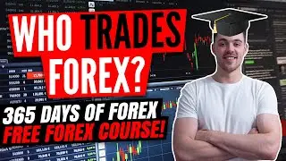 MARKET PARTICIPANTS IN THE FOREX MARKET