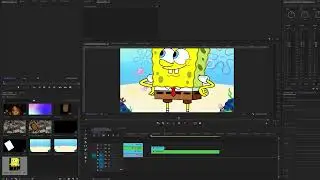Animated Stroke in Premiere Pro