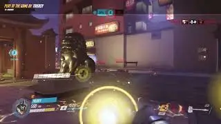 reinhardt POTG