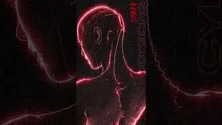 2pKxv - C I B O R G