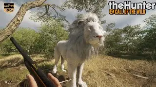 THEHUNTER COTW #77 NOUVELLE CHASSE SUR VURHONGA SAVANNA - LION ALBINOS