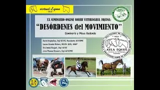 XX DESÓRDENES DEL MOVIMIENTO 'virtual-Equus'