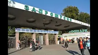 Под вечер в Киевском зоопарке   13 октября 2018