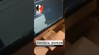 Пишем живой рояль с восхитительной пианисткой 🎹🎵👏 