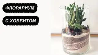Как сделать флорариум в вазе своими руками | Высаживаем крассулу  Хоббит