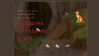 Детское собрание звёздочек | КПВ | CATWAR
