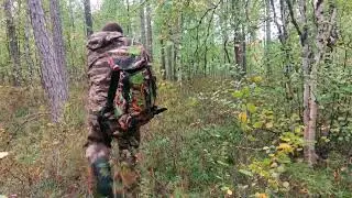 В лес за грибами🍄