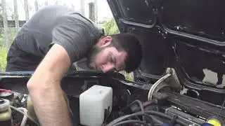 Как он это делает   интересный звук