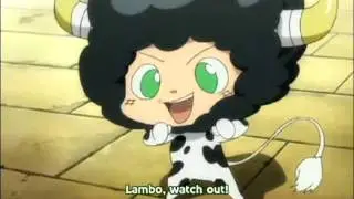 Lambo X Reborn (dramatic fan fiction reading)