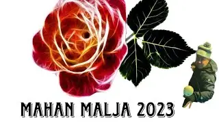 14.1 Straight Pool Mahan Malja 1.4.2023