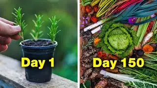 The No-Nonsense Guide to Self-Sufficiency (For Gardeners)