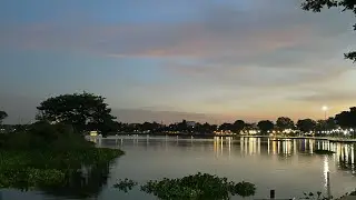Bird sounds at Buengkenakorn  park  Khonkaen, Thailand #shorts #viralvideo