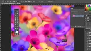 (ภาคทฤษฏี) Basic Photoshop 4 : การใช้เครื่องมือใน Tools Box - Selection Tools